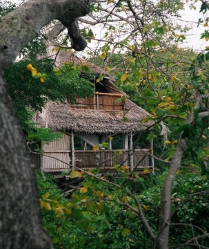 Chole Mjini Treehouses