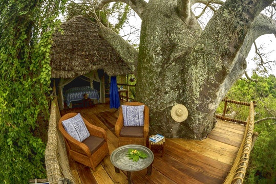 accommodation stay in a treehouse lodge hotel on tropical Mafia Island in Tanzania, East Africa