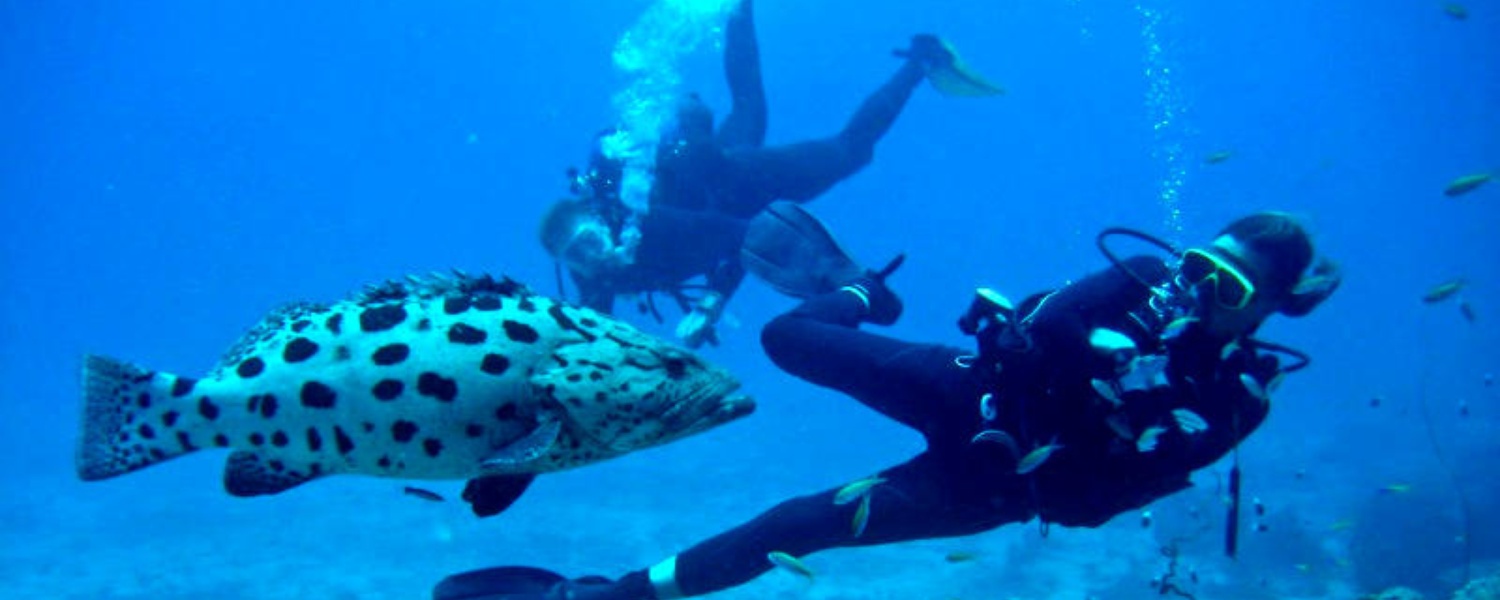 PADI scuba diving at mafia island