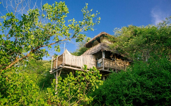 Treehouse Saba