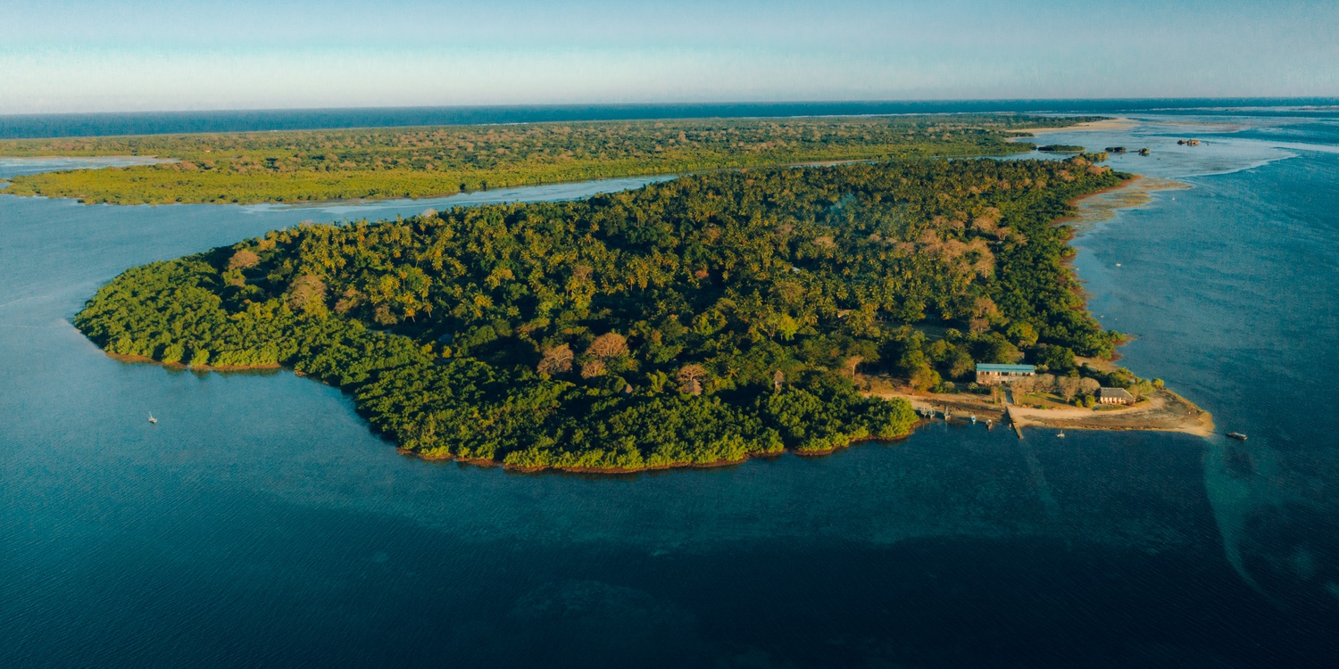 Chole Mjini Tree Houses, the heart of Mafia Island  Marine Park