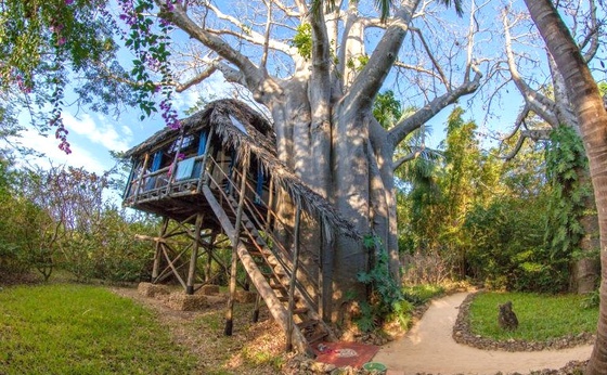 Treehouse Mbili