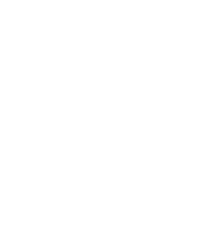 Chole Mjini Tree House Lodge